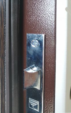 Двери металлические REDFORT "Лайн" Венге/Ясень белый структурный