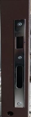 Двері металеві REDFORT "Лайн" Венге / Ясен білий структурний