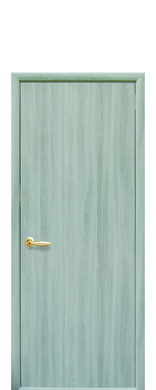 Дверное полотно "Стандарт-глухое" цвет венге 3d